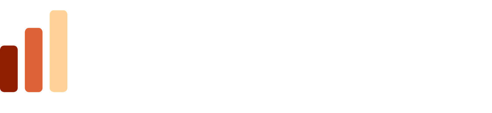 BI e-com